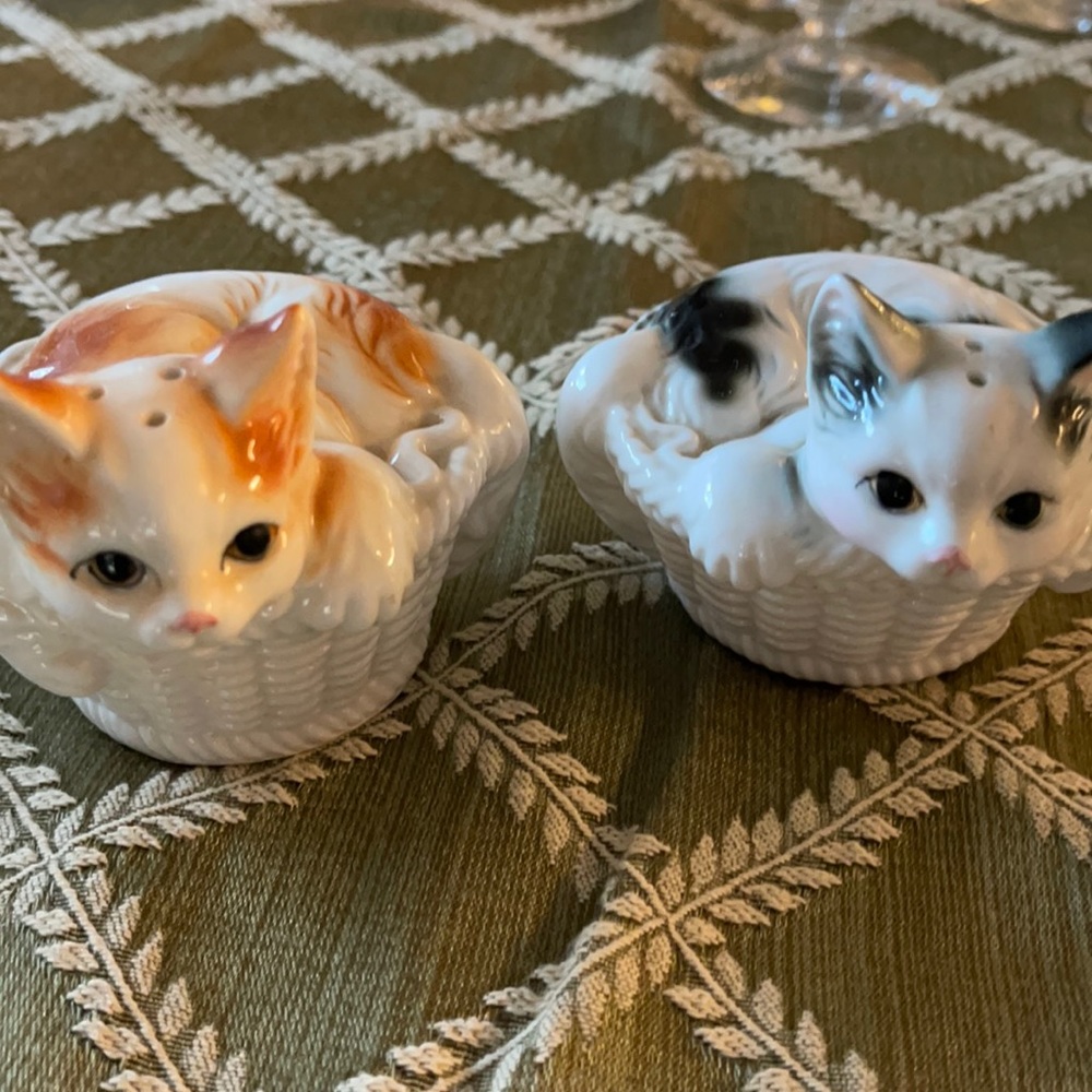 Vintage Cat Salt and Pepper set